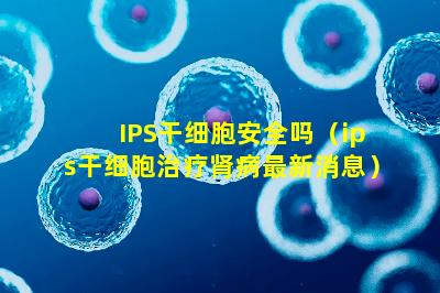 IPS干细胞安全吗（ips干细胞治疗肾病最新消息）