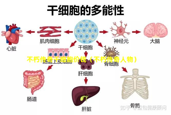 不朽传奇干细胞价钱（不朽传奇人物）