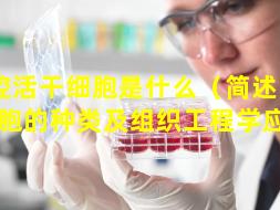 口腔活干细胞是什么（简述口腔干细胞的种类及组织工程学应用）