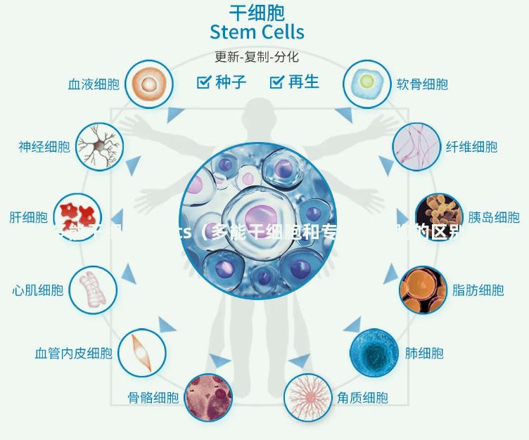 多能干细胞hpscs（多能干细胞和专能干细胞的区别）