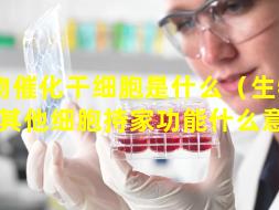 生物催化干细胞是什么（生物催化与其他细胞持家功能什么意思）