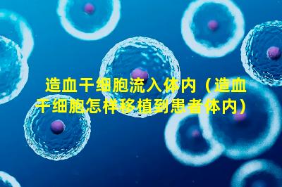 造血干细胞流入体内（造血干细胞怎样移植到患者体内）